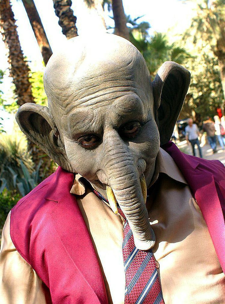 foam-latex-elephant