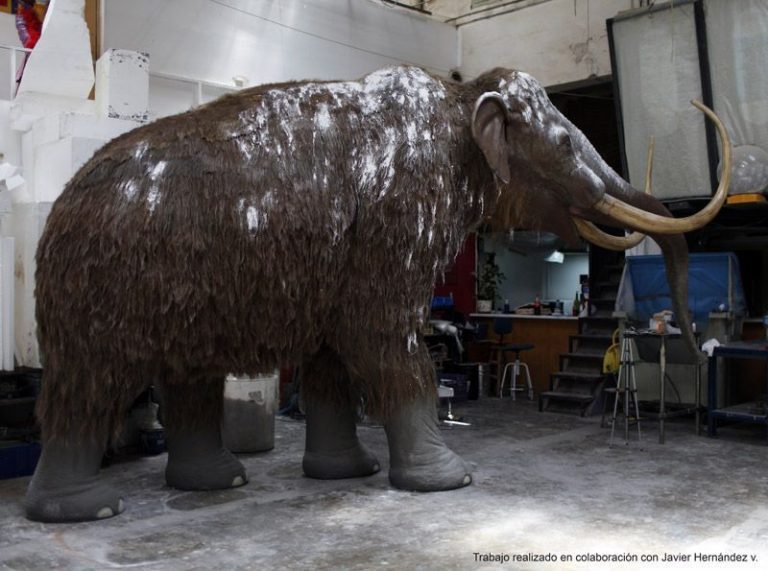 mamut-154d1ec3e5d85e